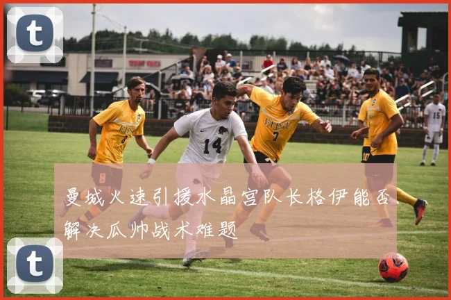曼城火速引援水晶宫队长格伊能否解决瓜帅战术难题